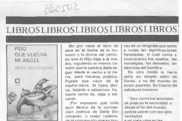 Pido que vuelva mi ángel