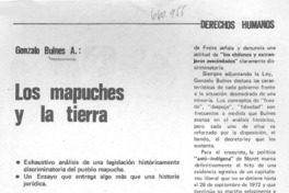 Los mapuches y la tierra.