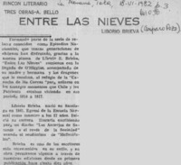 Entre las nieves  [artículo] Amparo Pozo.