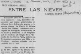 Entre las nieves  [artículo] Amparo Pozo.