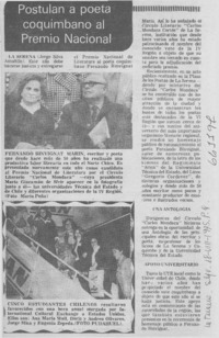 Postulan a poeta comquimbano al Premio Nacional.