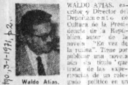 Los artistas opinan sobre el año que fué  [artículo] Virginia Vidal.