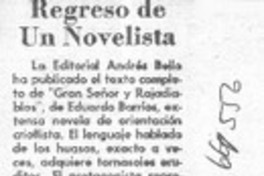 Regreso de un novelista