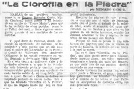 La Clorofila en la piedra"  [artículo] Medardo Cano Godoy.
