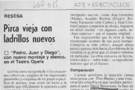 Pirca vieja con ladrillos nuevos  [artículo] H. E.