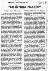 La última niebla  [artículo] Wellington Rojas Valdebenito.