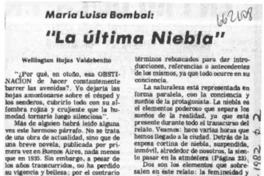 La última niebla  [artículo] Wellington Rojas Valdebenito.