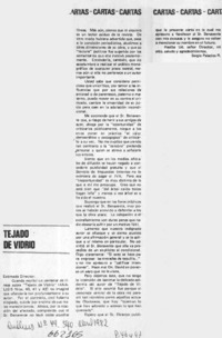 Tejado de vidrio  [artículo] Sergio Palacios R.