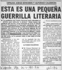 Esta es una pequeña guerrilla literaria.  [artículo]