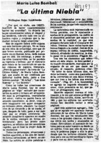 La última niebla"  [artículo] Wellington Rojas Valdebenito.