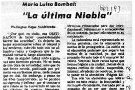 La última niebla"  [artículo] Wellington Rojas Valdebenito.