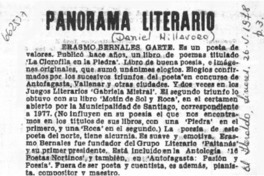 Panorama literario  [artículo] Daniel Millavoro.