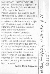 Entre ayes y pájaros