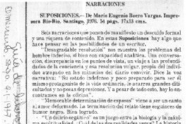 Suposiciones.  [artículo]