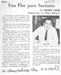 Una flor para Suetonio  [artículo] Edmundo Concha.