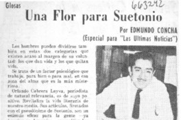 Una flor para Suetonio  [artículo] Edmundo Concha.