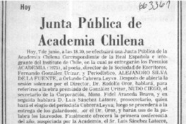 Junta Pública de Academia Chilena.  [artículo]