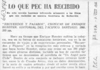 Recuerdos y pájaros.