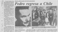 Pedro regresa a Chile.