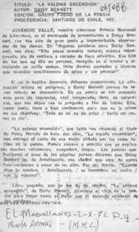 "La paloma encendida"  [artículo] M. M. L.