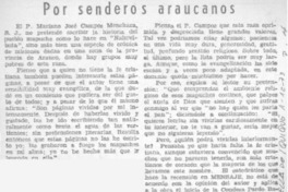 Por senderos araucanos