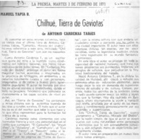 "Chilhué, tierra de gaviotas"