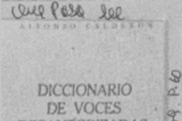 Diccionario de voces desautorizadas