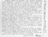 Chilhue, tierra de gaviotas