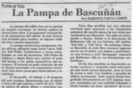 La pampa de Bascuñán