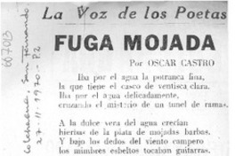 Fuga mojada