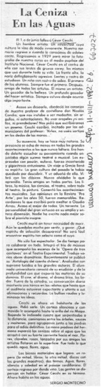 El ceniza en las aguas  [artículo] Sergio Montecino.