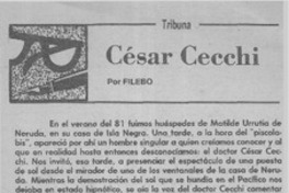 Cesar Cecchi  [artículo] Filebo.