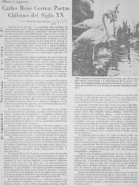 Carlos René Correa: poetas chilenos del siglo XX