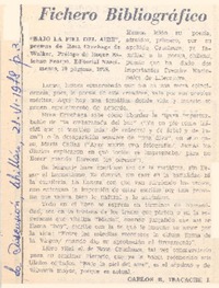 Bajo la piel del arte