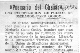 Poemario del chañar"  [artículo]