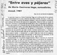 Entre aves y pájaros"  [artículo] Juan Antonio Massone.