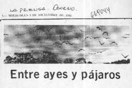 Entre ayes y pájaros  [artículo] Pablo Cassi.