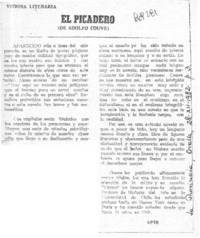 El picadero  [artículo] Apir.