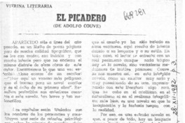 El picadero  [artículo] Apir.