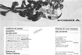 Cuaderno de poesía encuentro de arte joven.