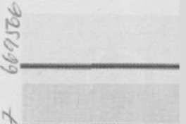 El Doktor, en triple concierto.