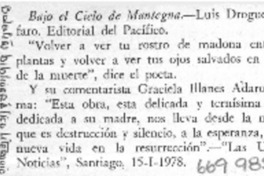 Bajo el cielo de Mantegna.