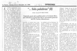 "Sólo palabras" (II)