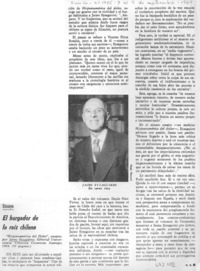 El hurgador de la raíz chilena