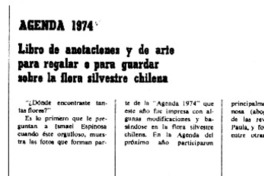 Agenda 1974.