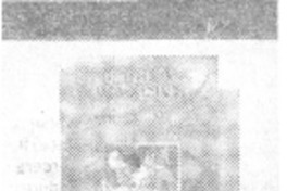 En tiempos como éstos.