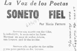Soneto fiel.