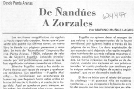 De ñandúes a zorzales