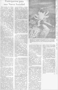 Participación para una nueva sociedad