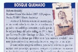 Bosque quemado